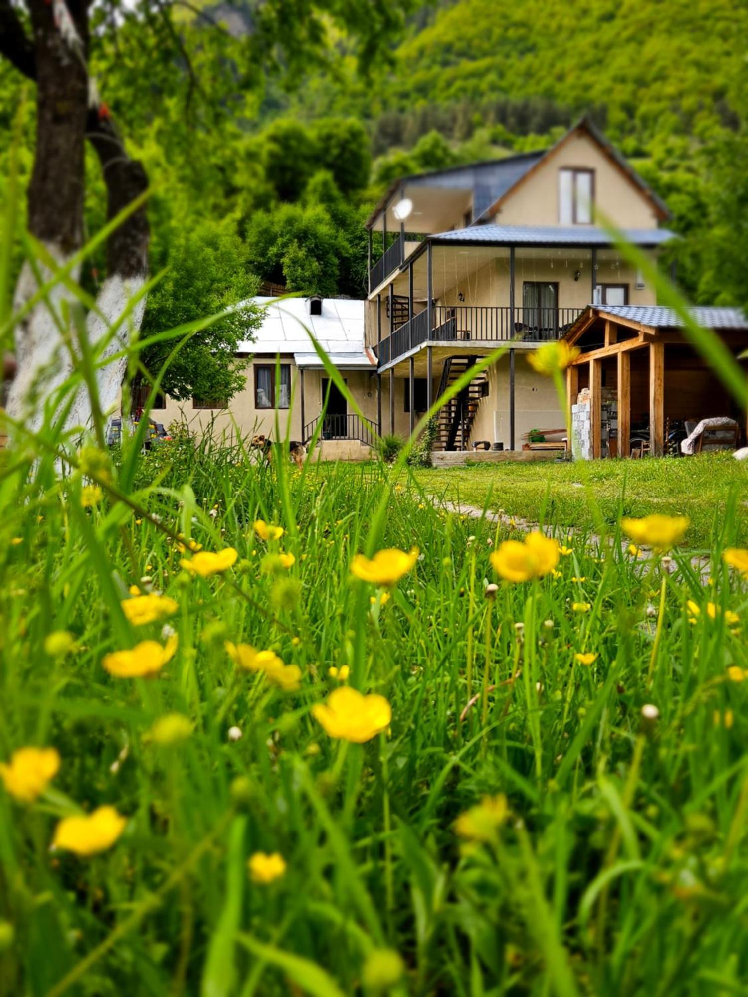 House B&B Mestia Eksteriør billede