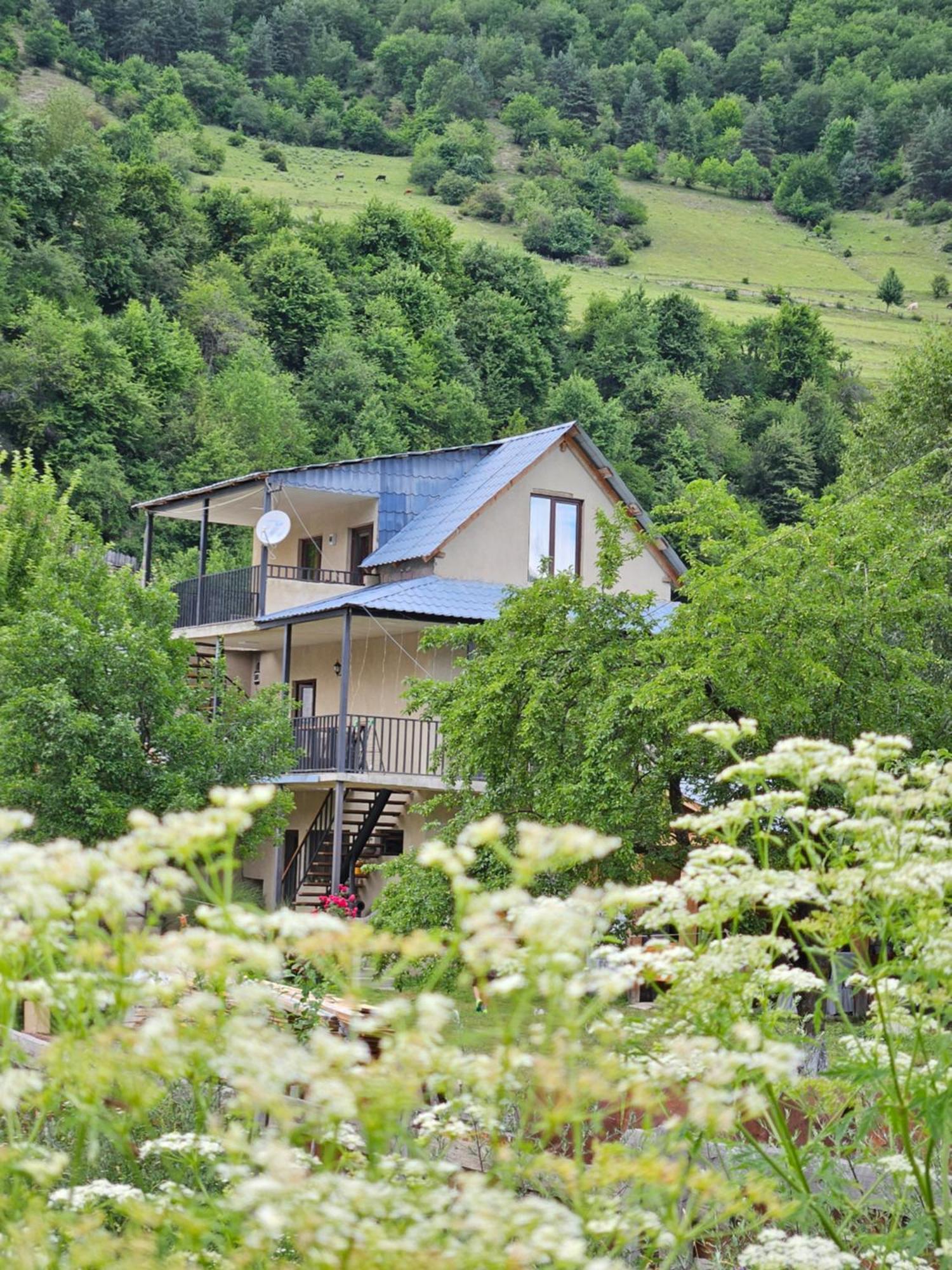 House B&B Mestia Eksteriør billede